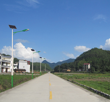 新農(nóng)村6米太陽能路燈 TFTYN-022